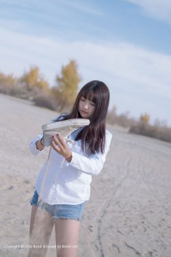 青云志 电视剧